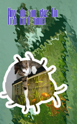 Playing goldfish